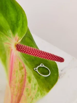 votre bague Chat chez vous Monsieur
