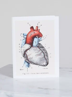 Petit Carnet MON COEUR A TOI 🇫🇷
