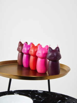 Coffret de luxe 5 Bougies BDSM WaxPlay KITTY