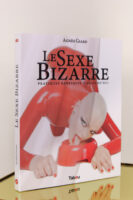 LE SEXE BIZARRE nouvelle édition,  Agnès Giard