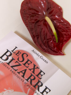 le sexe bizarre de Agnès Giard chez vous monsieur, un livre photo sur les différents fétichismes