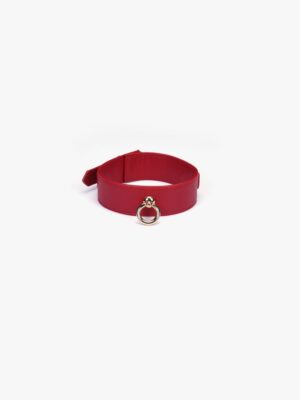 collier de soumission BDSM rouge chez vous monsieur