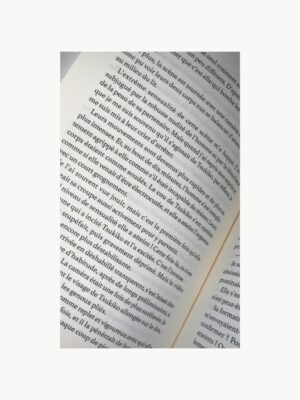 Publié au Japon en 2001, Château Rouge est le seul roman érotique de Junichi Watanabe