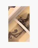 POLAROID VOL 1 - Shelbie Dimond 🇺🇸