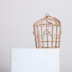 Sac L'AMOUR EN CAGE