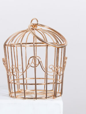 Sac L'AMOUR EN CAGE