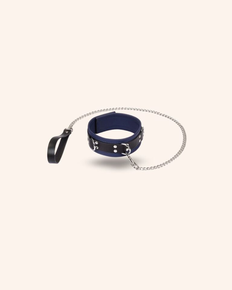 Set 2 pièces Collier de soumission + Laisse MONSIEUR KLEIN