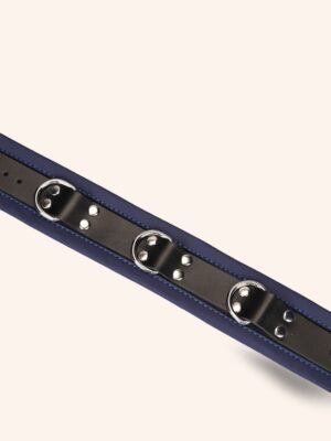 Monsieur Klein, le collier et laisse BDSM pour homme en cuir bleu profond chez vous monsieur