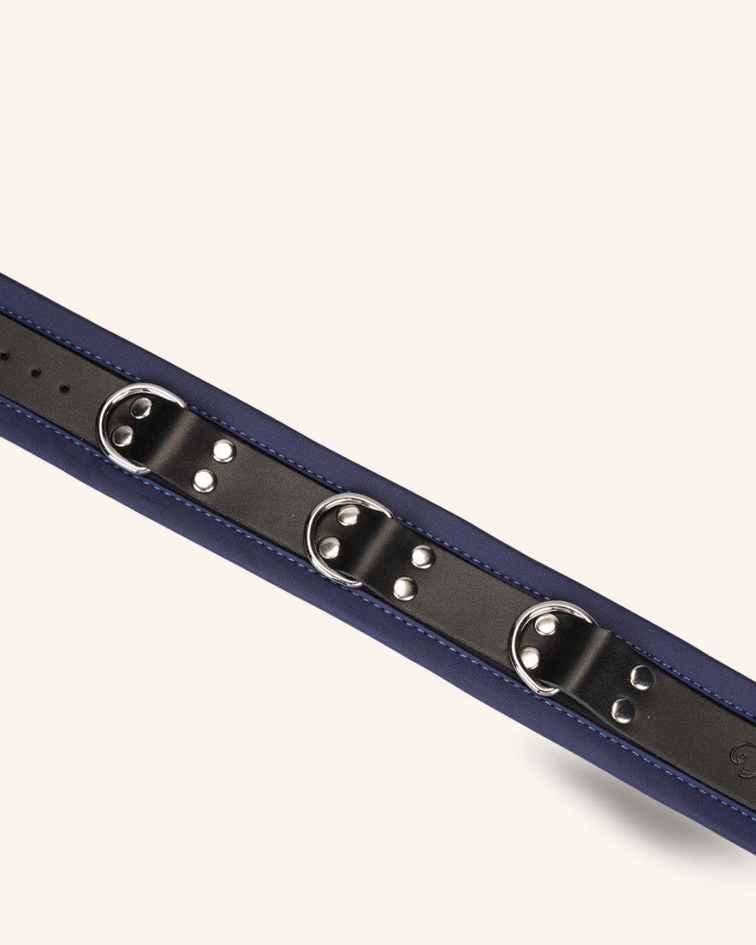 Monsieur Klein, le collier et laisse BDSM pour homme en cuir bleu profond chez vous monsieur